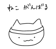 855638116