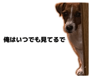 855638169