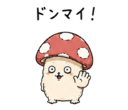 855639277
