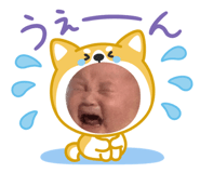 855639388