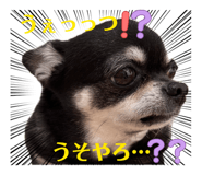 855639689
