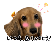 855639691