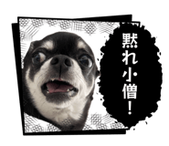 855639694