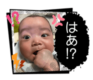 855640445