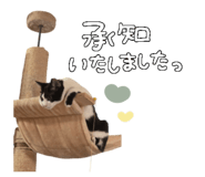 855640708