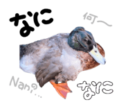 855640709