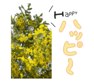 855640722