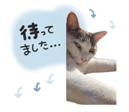 855640726