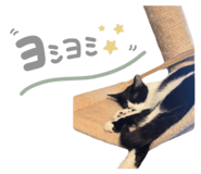 855640727