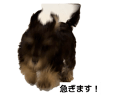 855640978