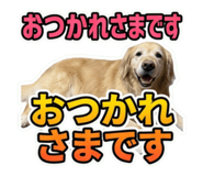 855641001