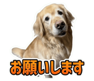 855641005