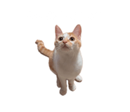 855641185