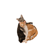 855641191