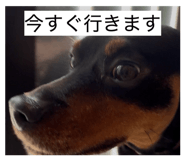 855641811