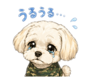855641843