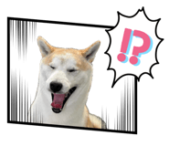 855642606