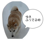 855642607