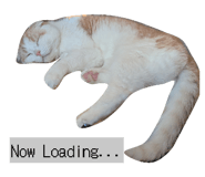 855643019