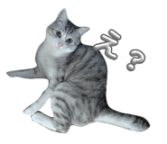 855643020