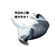 855643023
