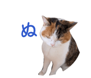 855643026