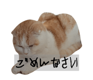 855643028