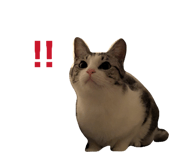 855643030