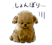 855643108