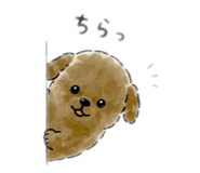 855643128