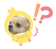855643362