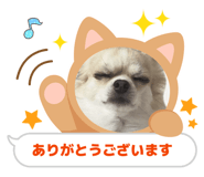 855643366