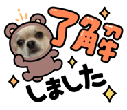 855643367