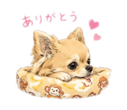 855643377