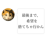 855643705