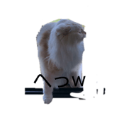 855644145