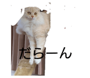 855644147