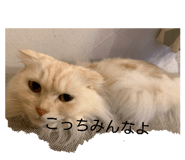 855644148