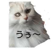 855644149