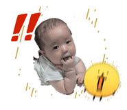 855644550