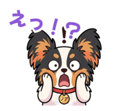 855645211