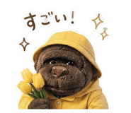 855645536