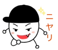 855645684