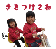 855645781