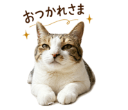 855646430