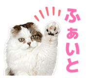 855646480
