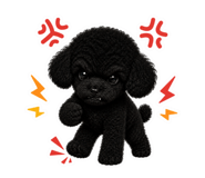 855646497