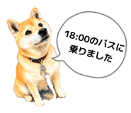 855647130