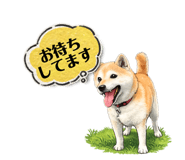 855647131