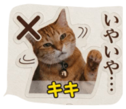 855647142